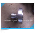 ANSI Forged Carbon Steel Flange Olet Flanged Pipet